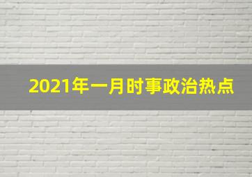 2021年一月时事政治热点