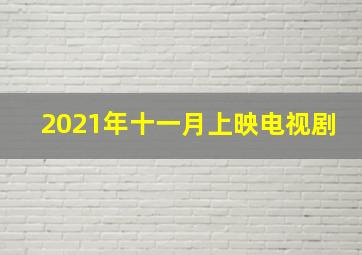 2021年十一月上映电视剧