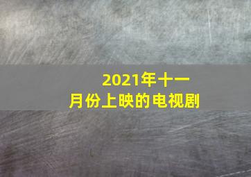 2021年十一月份上映的电视剧