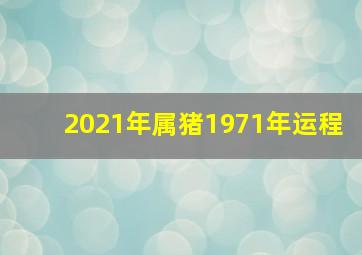 2021年属猪1971年运程