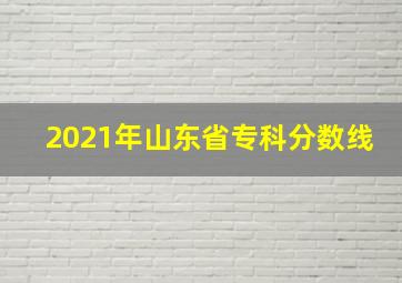 2021年山东省专科分数线