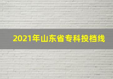 2021年山东省专科投档线