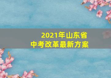 2021年山东省中考改革最新方案