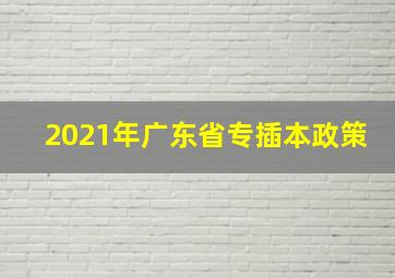 2021年广东省专插本政策