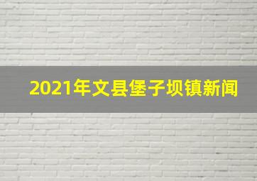 2021年文县堡子坝镇新闻