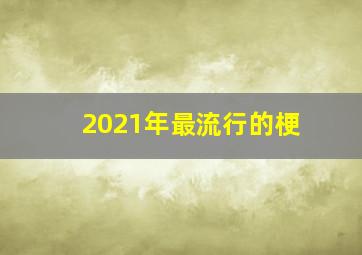 2021年最流行的梗