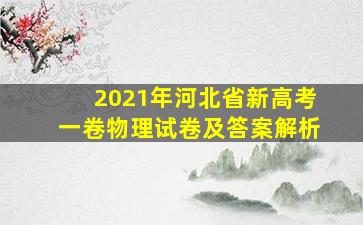 2021年河北省新高考一卷物理试卷及答案解析