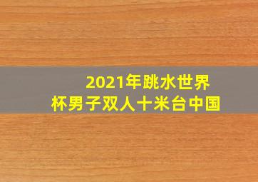 2021年跳水世界杯男子双人十米台中国