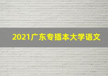 2021广东专插本大学语文