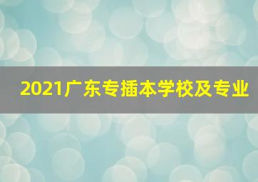 2021广东专插本学校及专业