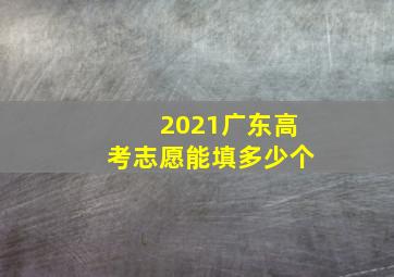 2021广东高考志愿能填多少个