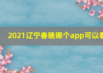 2021辽宁春晚哪个app可以看