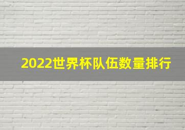 2022世界杯队伍数量排行