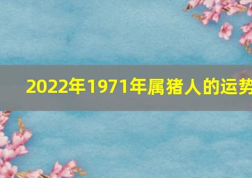 2022年1971年属猪人的运势