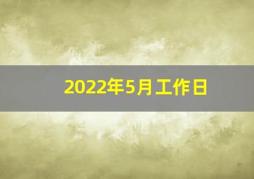 2022年5月工作日