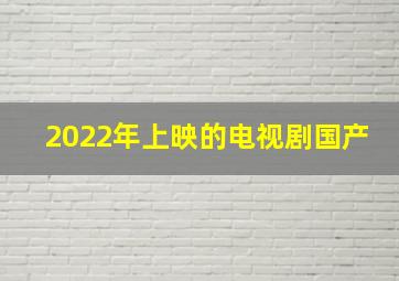 2022年上映的电视剧国产