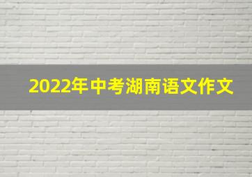 2022年中考湖南语文作文