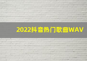 2022抖音热门歌曲WAV