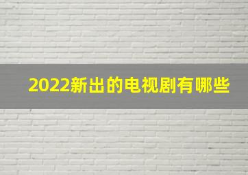 2022新出的电视剧有哪些