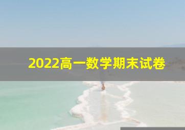 2022高一数学期末试卷