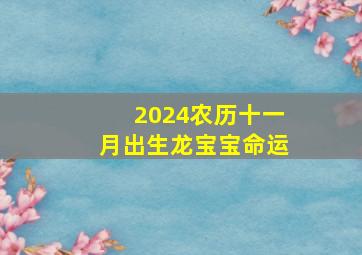 2024农历十一月出生龙宝宝命运