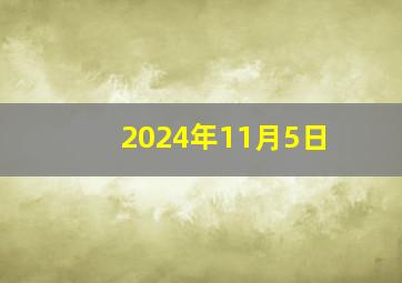 2024年11月5日