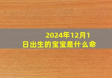 2024年12月1日出生的宝宝是什么命