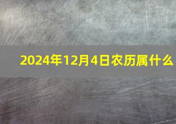 2024年12月4日农历属什么