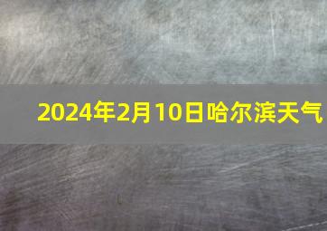 2024年2月10日哈尔滨天气