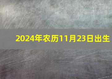 2024年农历11月23日出生