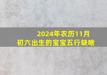 2024年农历11月初六出生的宝宝五行缺啥