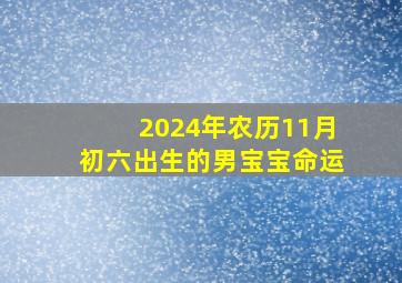 2024年农历11月初六出生的男宝宝命运