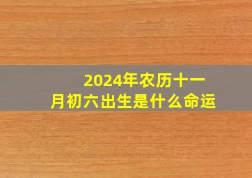 2024年农历十一月初六出生是什么命运