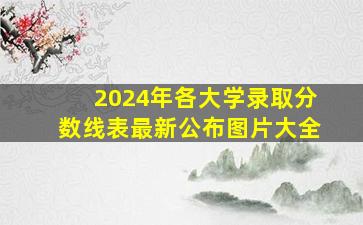 2024年各大学录取分数线表最新公布图片大全