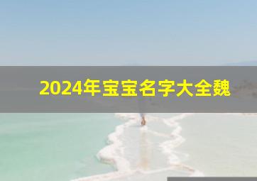 2024年宝宝名字大全魏