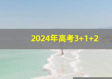 2024年高考3+1+2