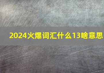 2024火爆词汇什么13啥意思