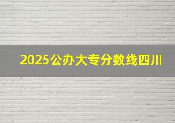 2025公办大专分数线四川