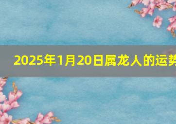 2025年1月20日属龙人的运势