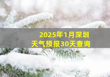 2025年1月深圳天气预报30天查询