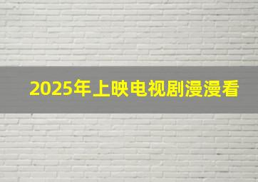 2025年上映电视剧漫漫看