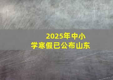 2025年中小学寒假已公布山东