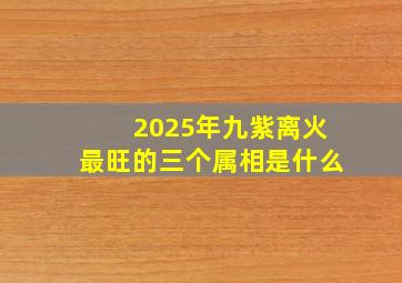 2025年九紫离火最旺的三个属相是什么