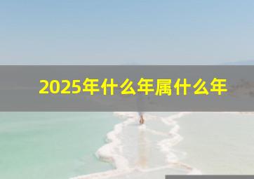 2025年什么年属什么年