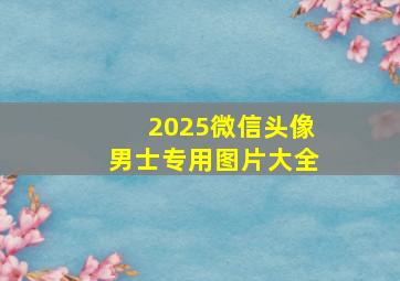 2025微信头像男士专用图片大全