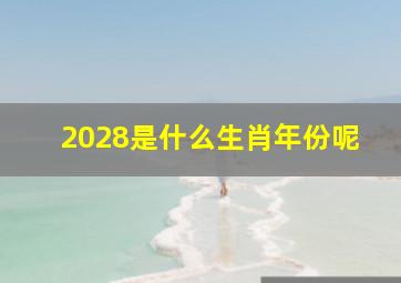 2028是什么生肖年份呢