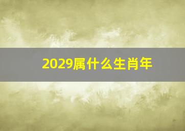 2029属什么生肖年