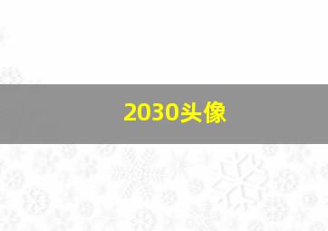 2030头像