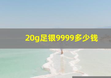 20g足银9999多少钱