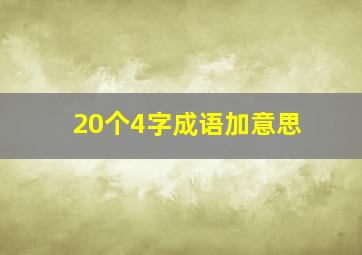 20个4字成语加意思